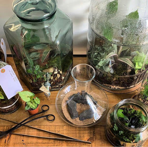 Terrarium workshop, private plant classes and workshops, special events classes and private event rentals