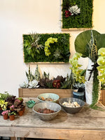 Load image into Gallery viewer, Terrarium Building Workshop
